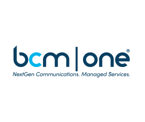 BCM One-217